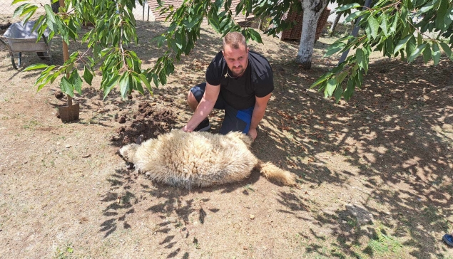 Jusići:Akika- kurban: Islamović Melih